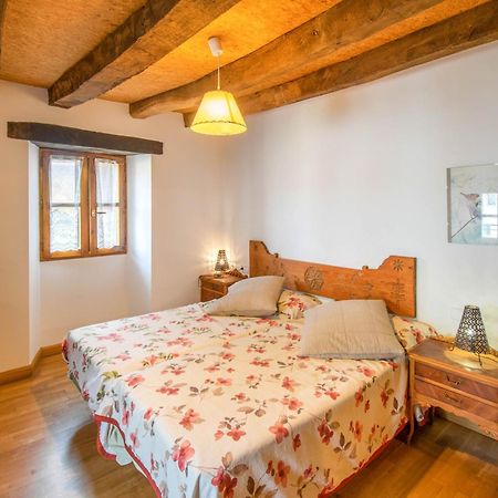 Casa Monaut, Acogedores Apartamentos A Los Pies De La Selva De Irati Saragueta エクステリア 写真