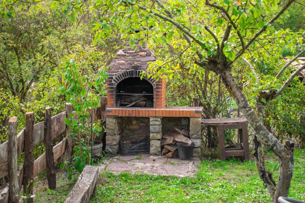 Casa Monaut, Acogedores Apartamentos A Los Pies De La Selva De Irati Saragueta エクステリア 写真