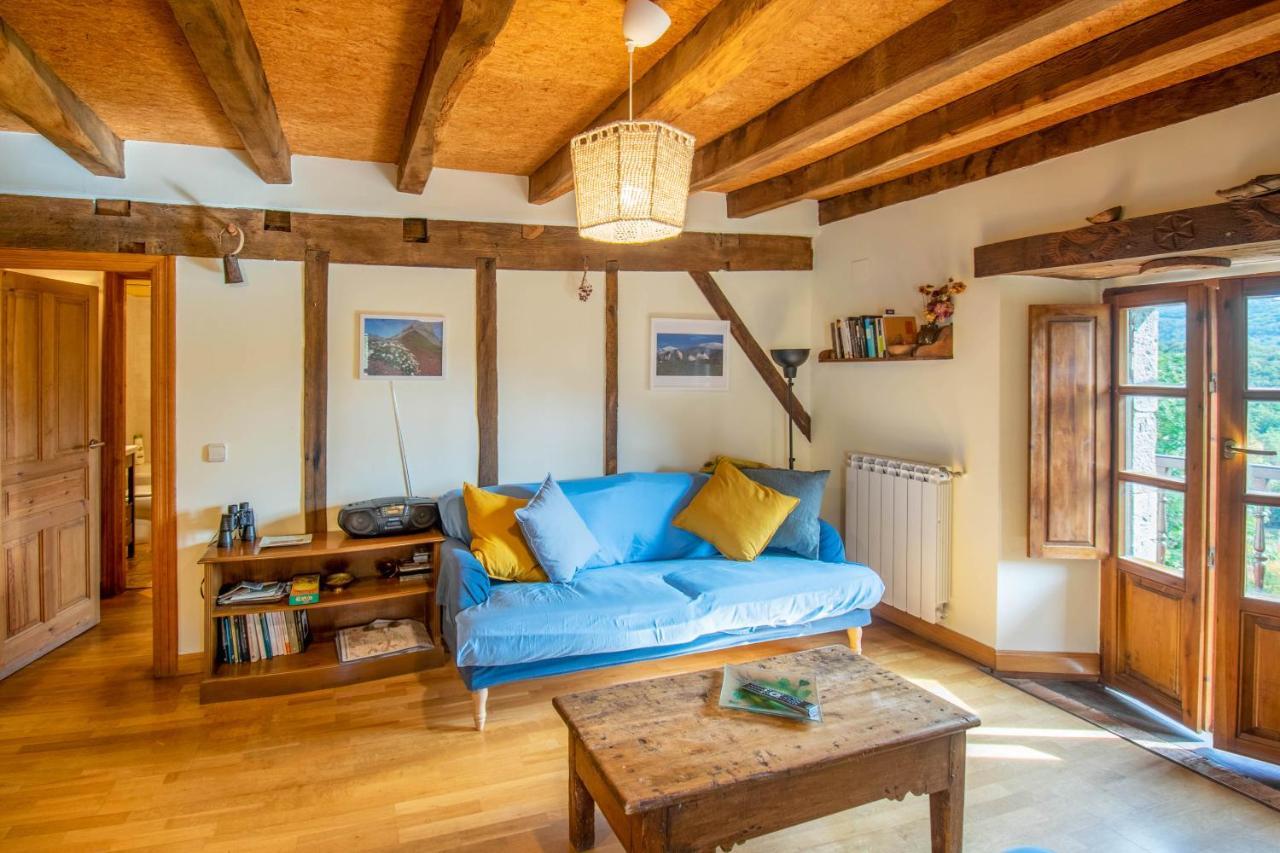 Casa Monaut, Acogedores Apartamentos A Los Pies De La Selva De Irati Saragueta エクステリア 写真
