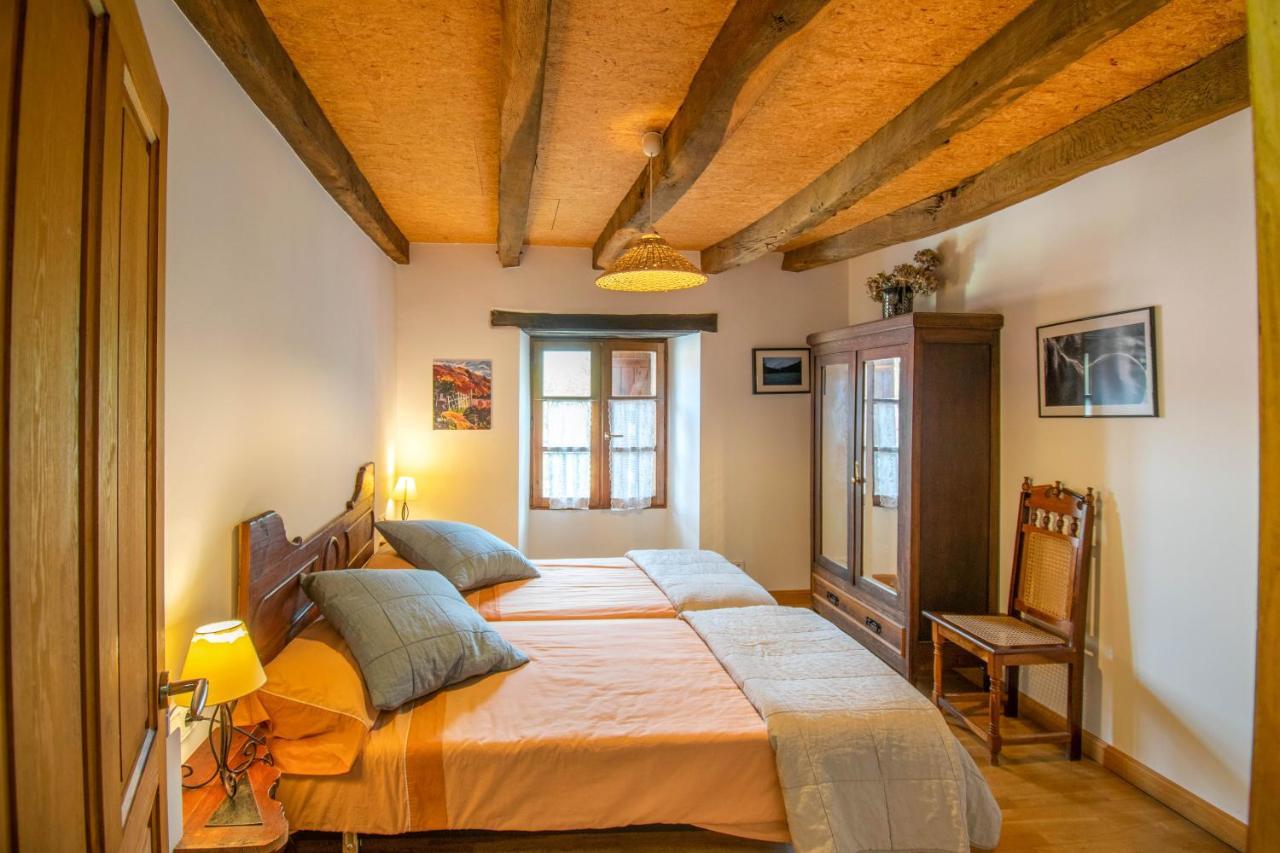 Casa Monaut, Acogedores Apartamentos A Los Pies De La Selva De Irati Saragueta エクステリア 写真